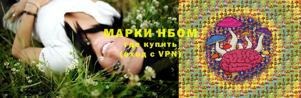 эйфоретик Баксан