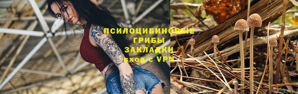 эйфоретик Баксан