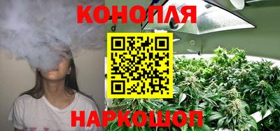 мяу мяу мука Новодвинск
