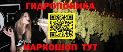 не бодяженный Новозыбков