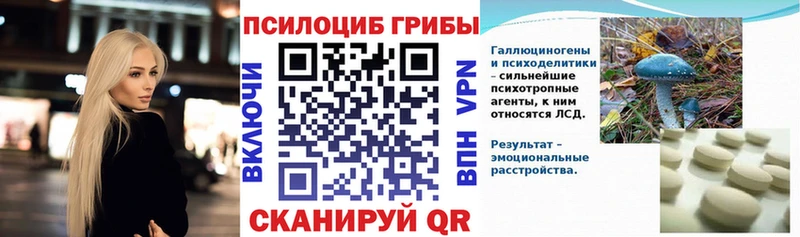 Галлюциногенные грибы мицелий Сланцы