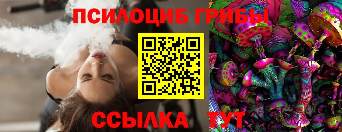 Галлюциногенные грибы Psilocybe Сланцы