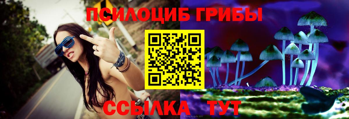 Псилоцибиновые грибы прущие грибы  Галлюциногенные грибы ЛСД  Вход с VPN  где продают наркотики  Сланцы 